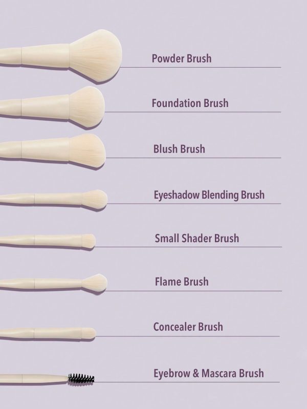ست براش ۸ عددی شیگلم (برس تیکه) مدل Pro Core Brush kit - Image 3